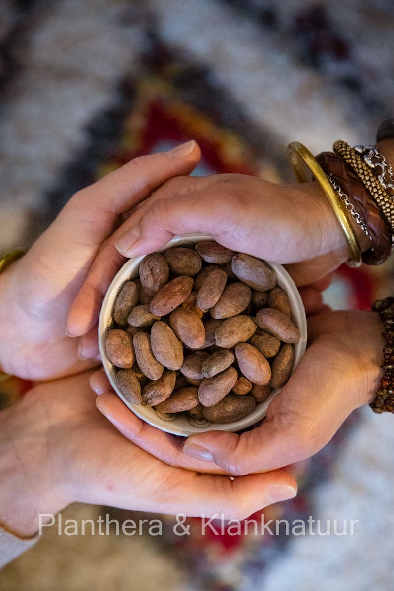 handen Dennis en Jet 