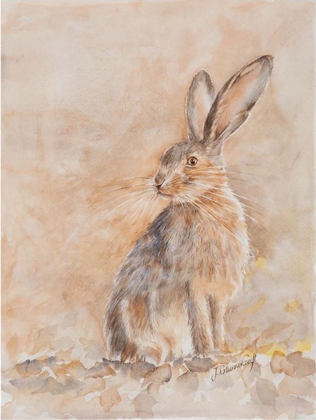  Hare 