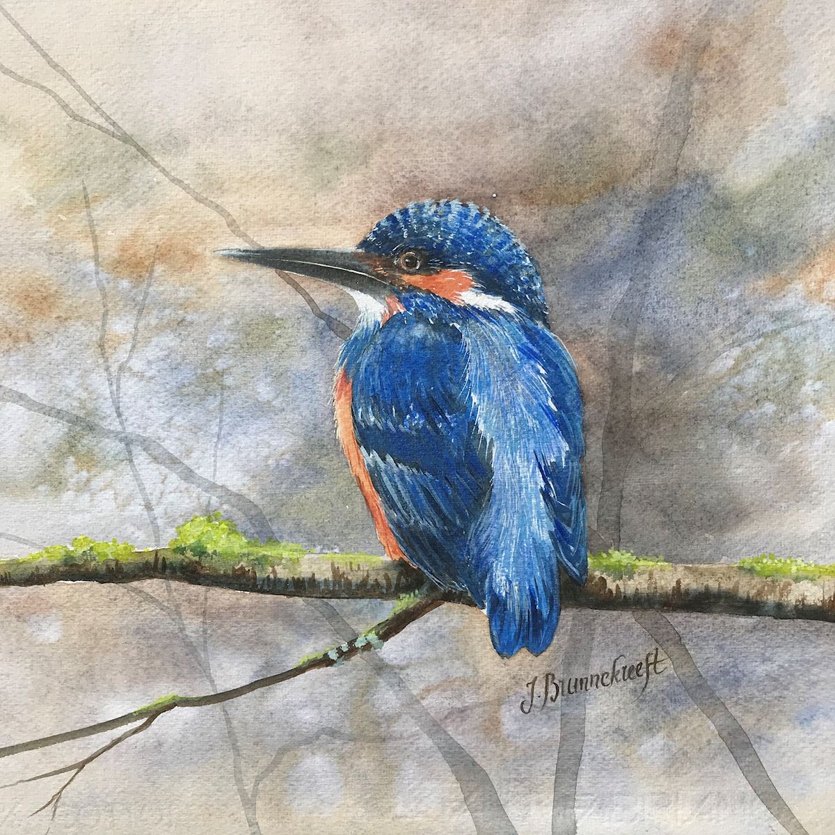  Kingfisher 