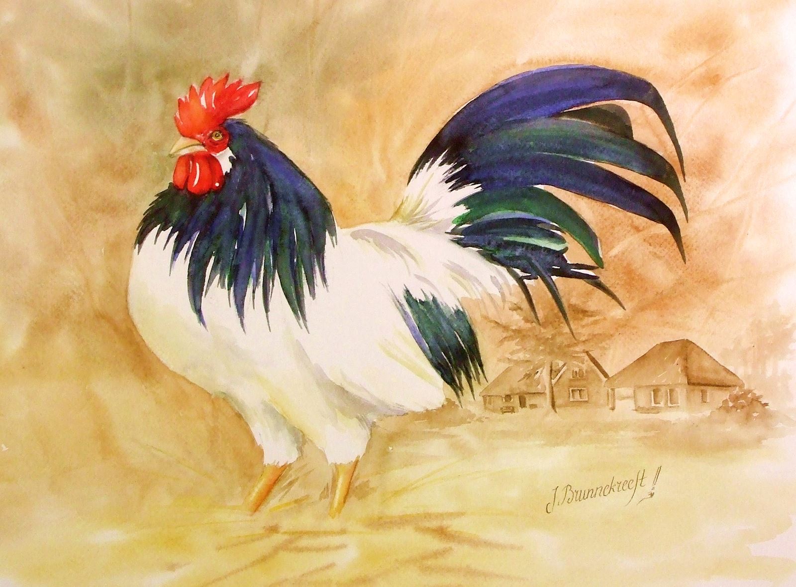  Rooster 