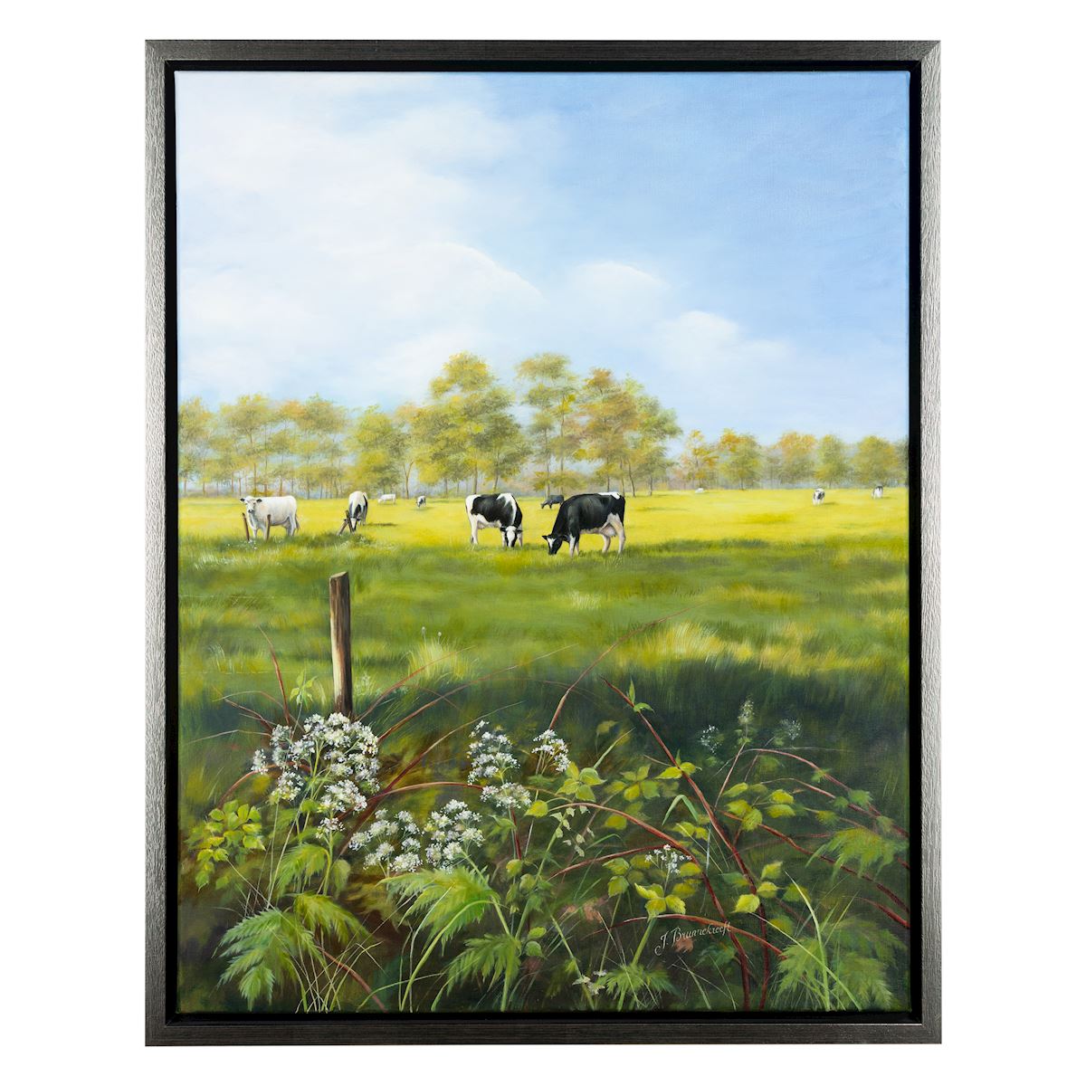 Cow Parsley