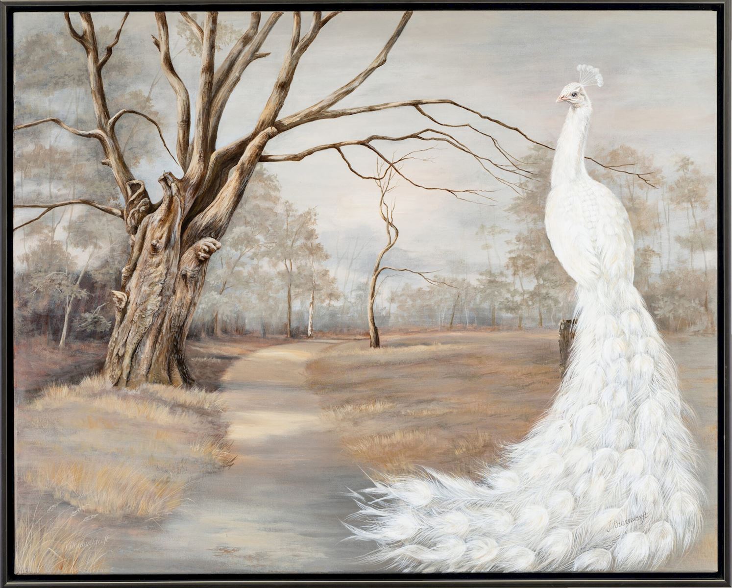 Crown of the white Peacock