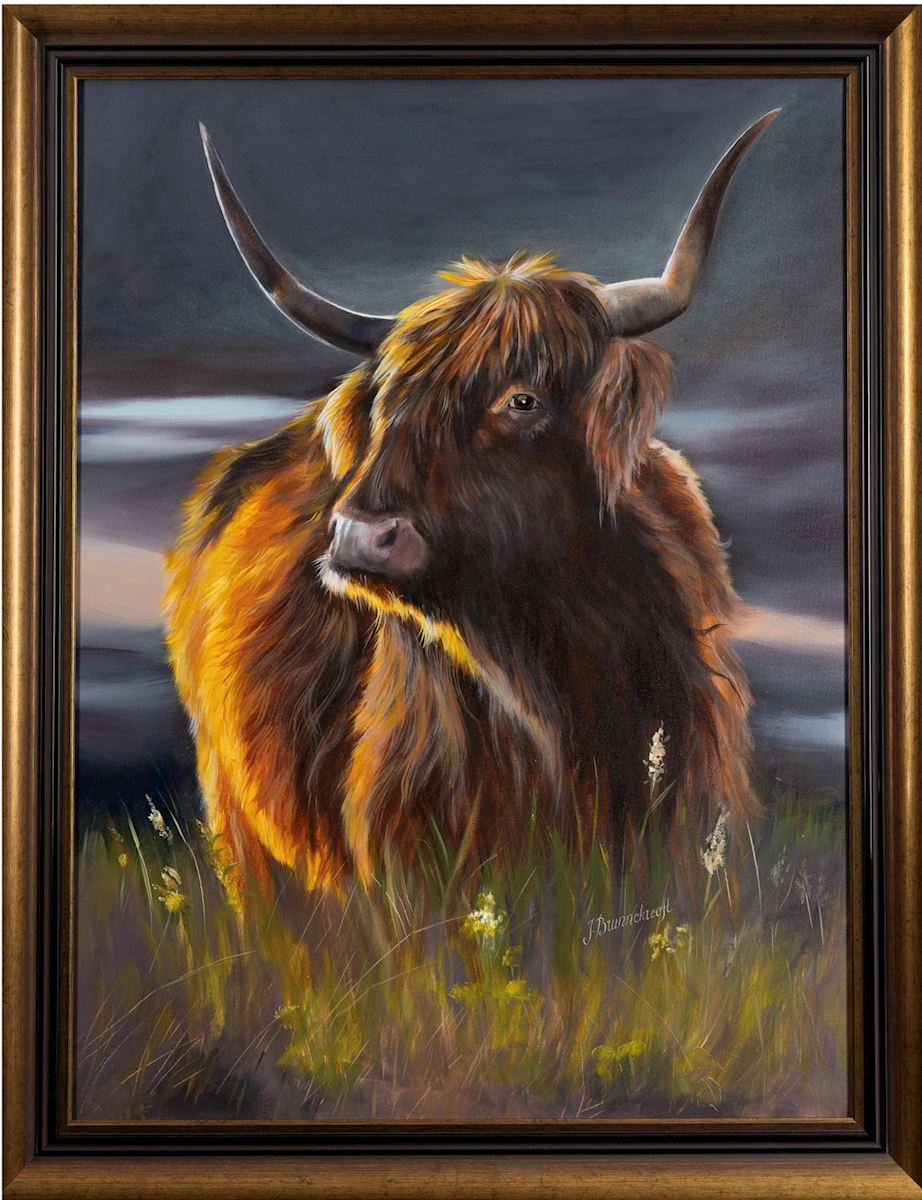Scottish Highlander_LR