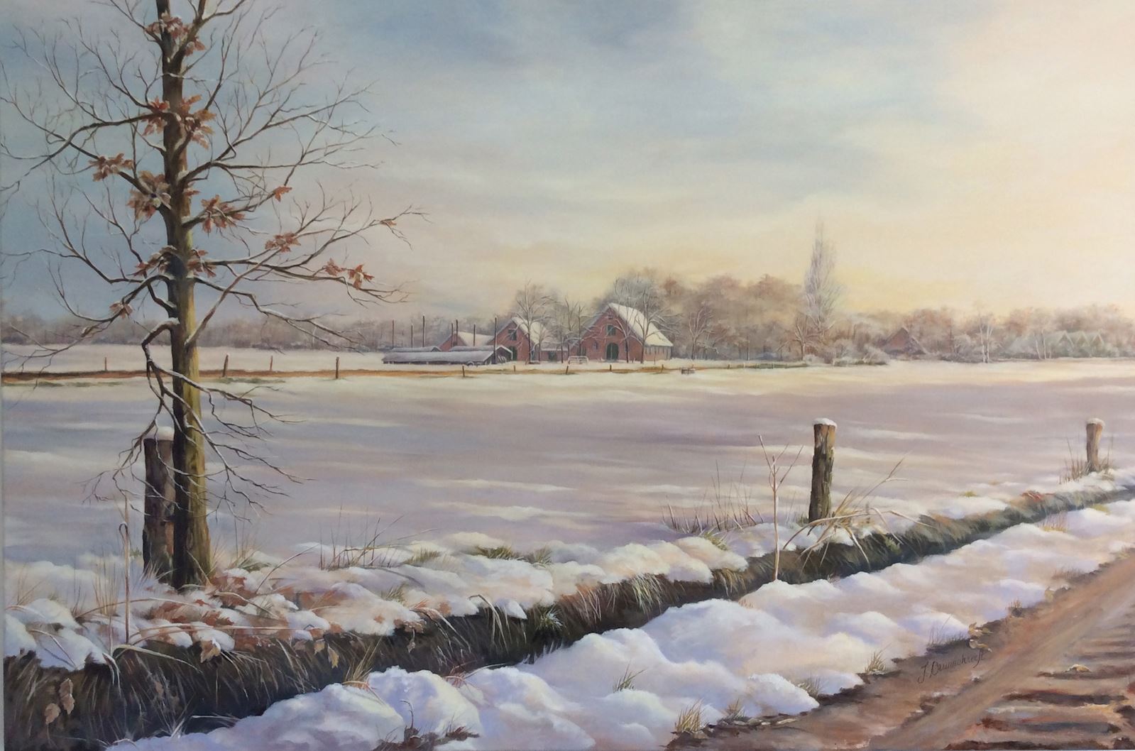 Snow in Twekkelo