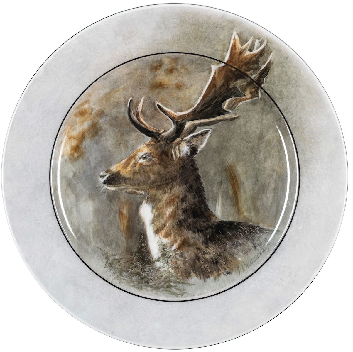 Deer