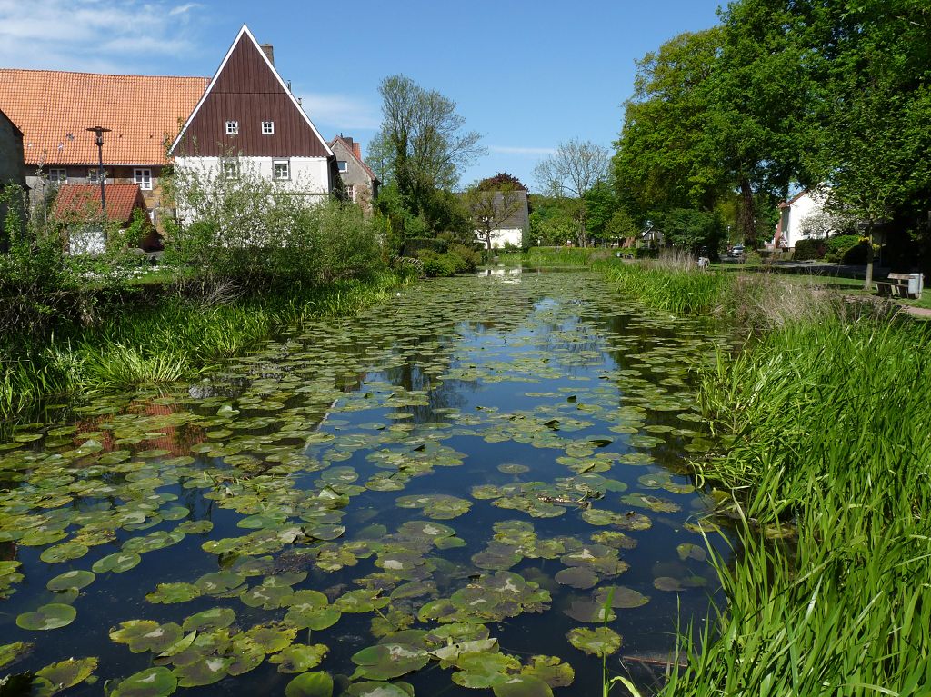 k Beckers See VechteSchulteichHaddorf 014