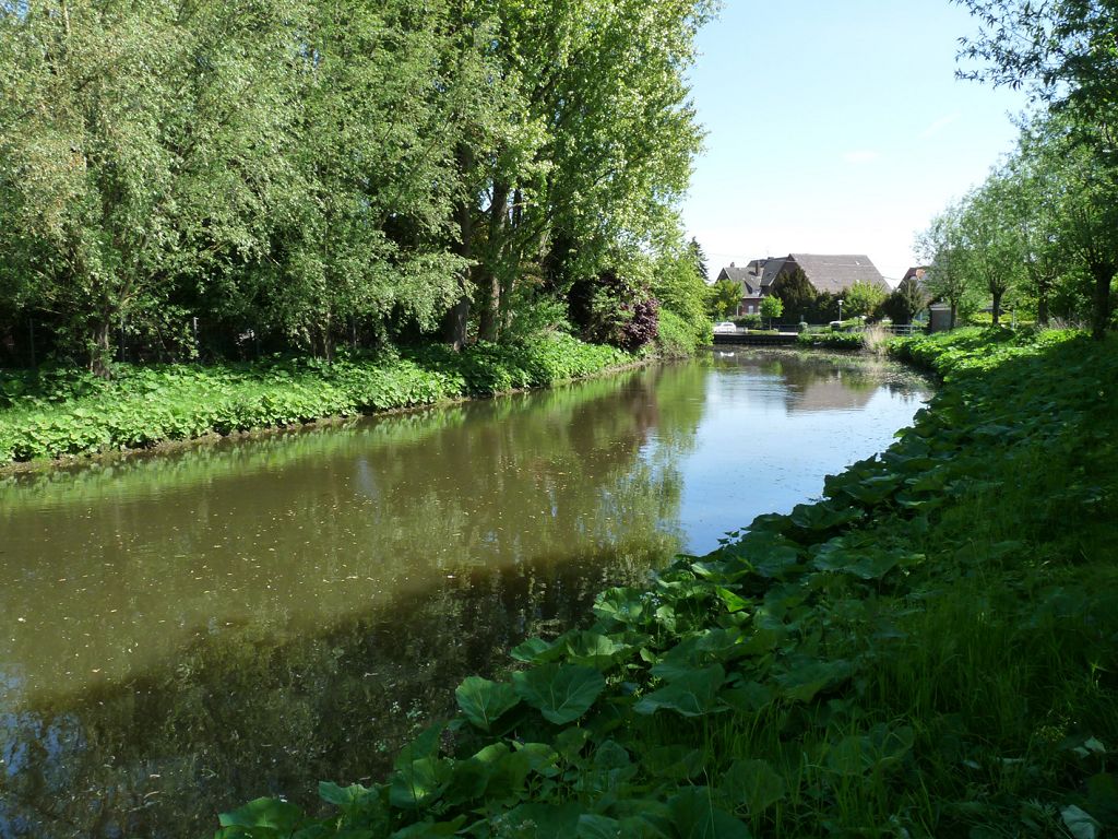 k Beckers See VechteSchulteichHaddorf 016