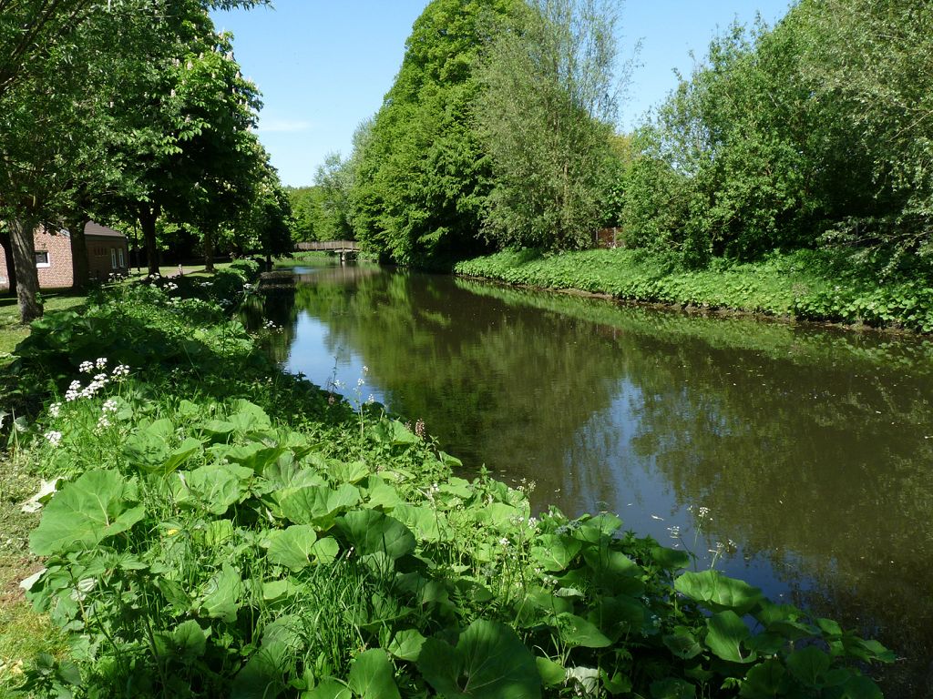 k Beckers See VechteSchulteichHaddorf 017