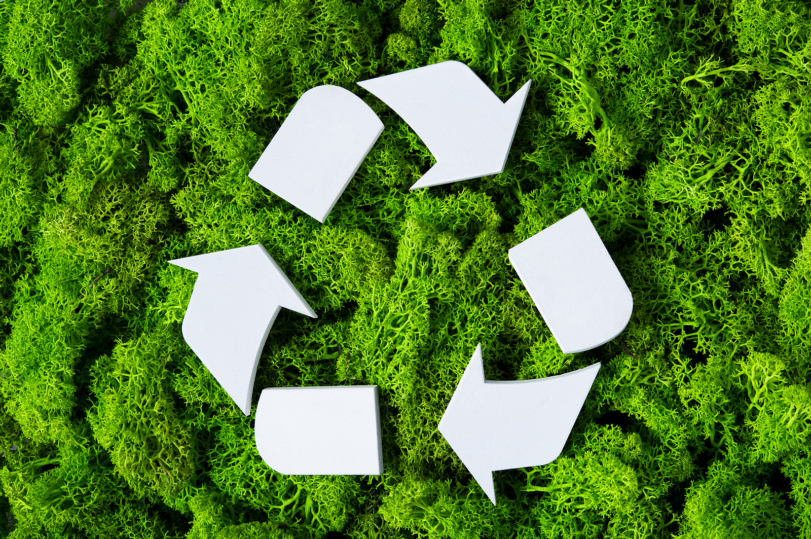 bigstock Top view of white recycle eco 209395741