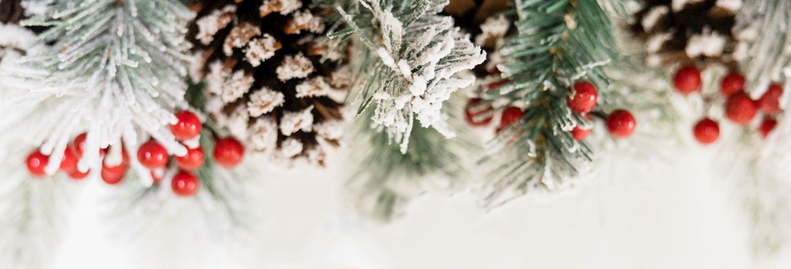 Kerstconcert Krantartikel2