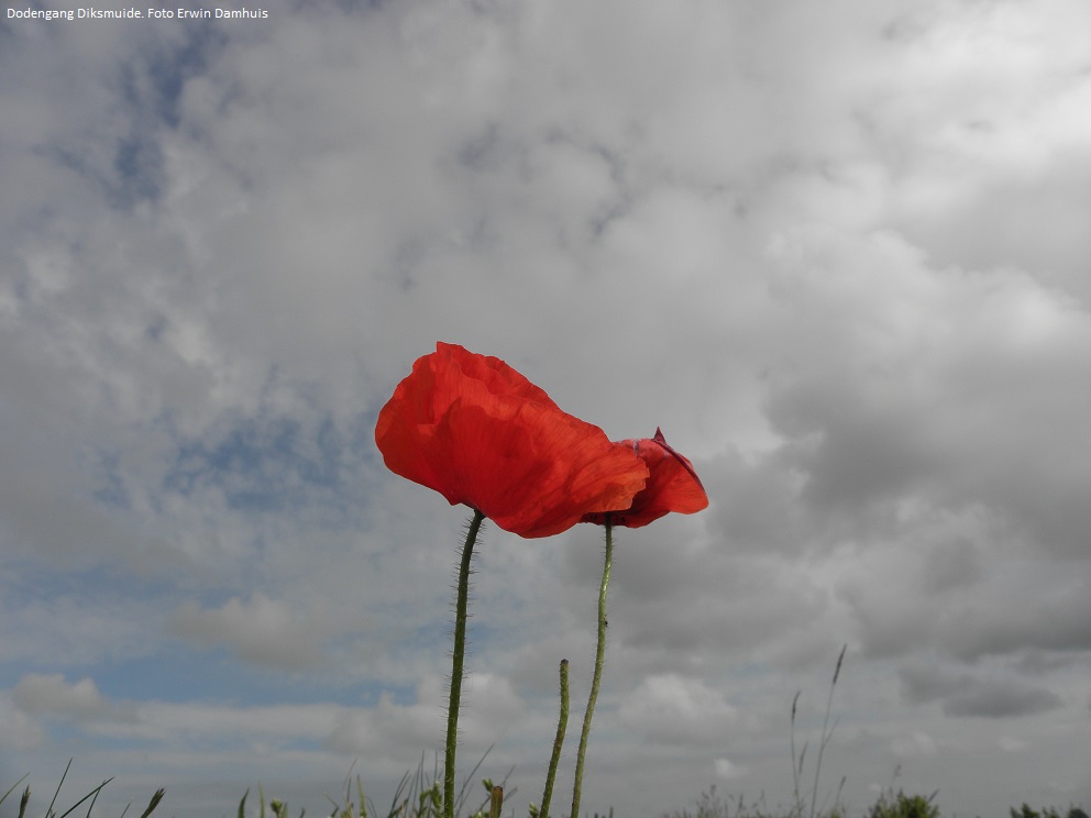 13 Dodengang Diksmuide