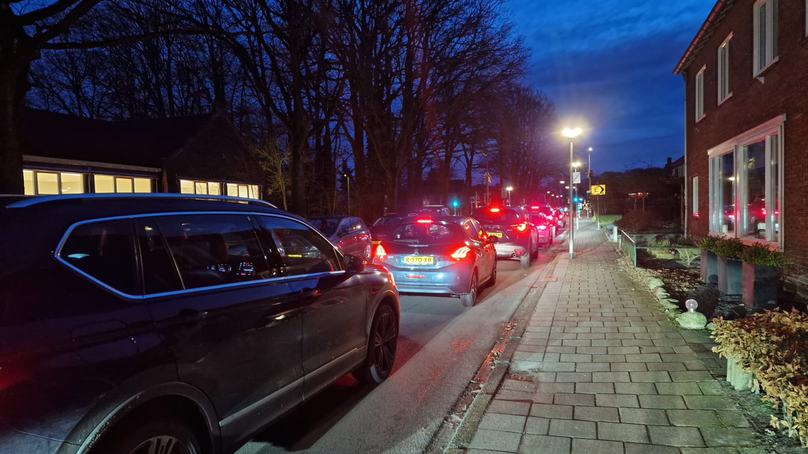 scholtenreimer