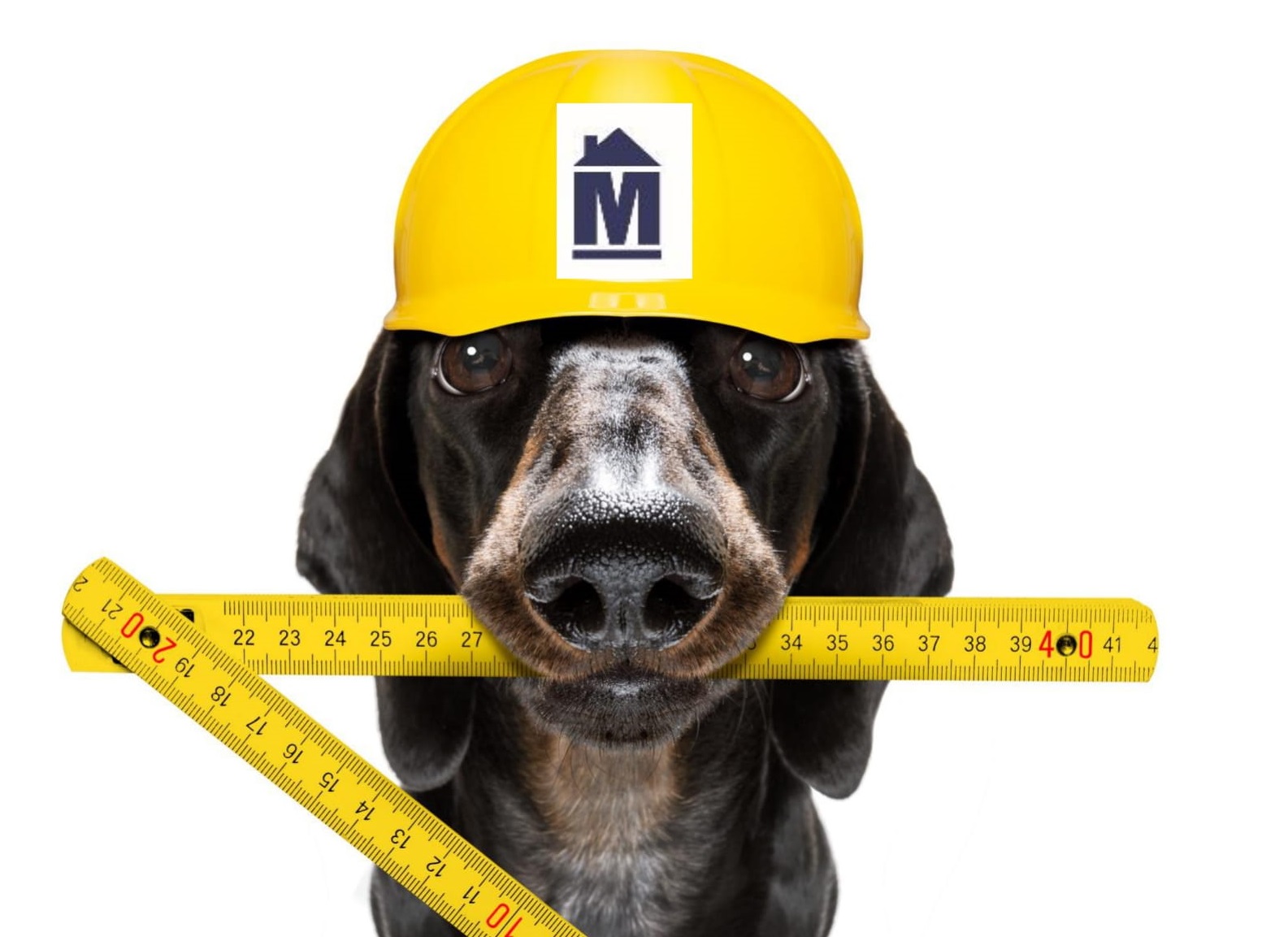 Hond met M 1