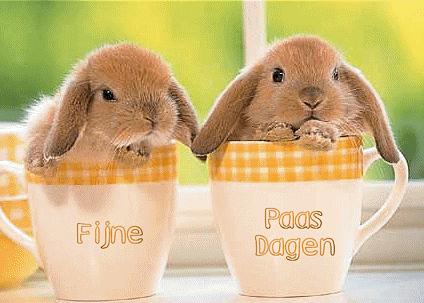 Afbeeldingsresultaat voor afbeelding fijne paasdagen