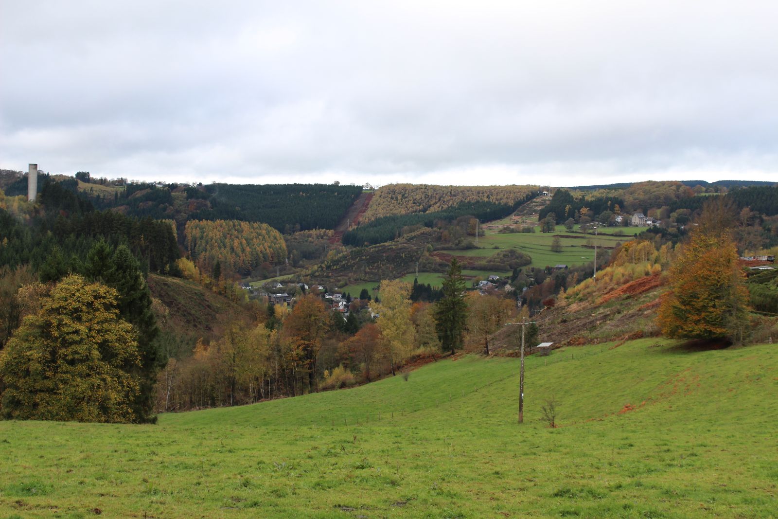 Omgeving - natuur