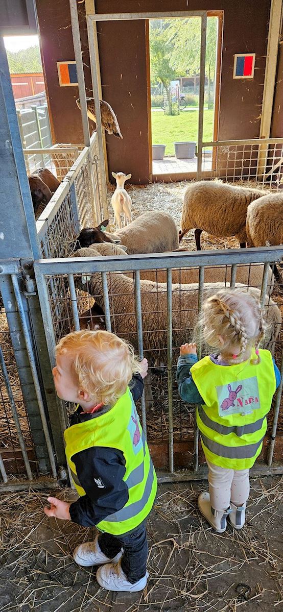 Kinderboerderij en dierentuin