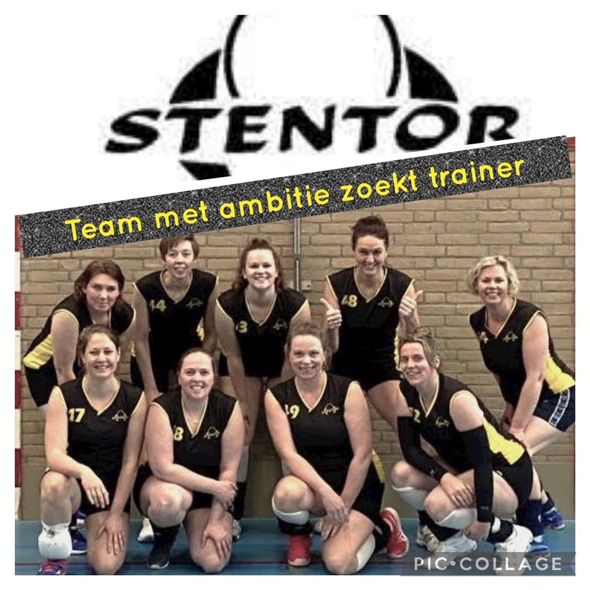 D3 zoekt trainer