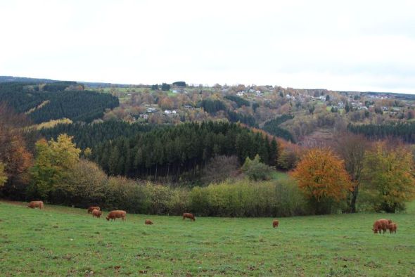 Umgebung natur