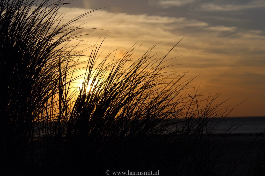 'Windkracht Sien'