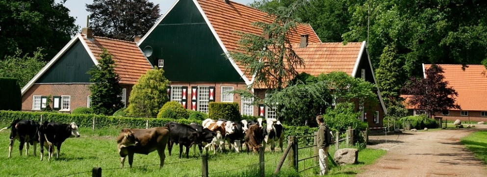 Wandel langs de monumentale boerderij Hof Brunink, nu een biologisch melkveebedrijf.