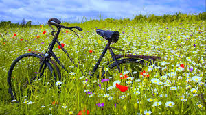 Knooppunt voor wandel en fiets tochten