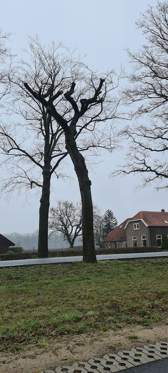 Eik provincie Gelderland