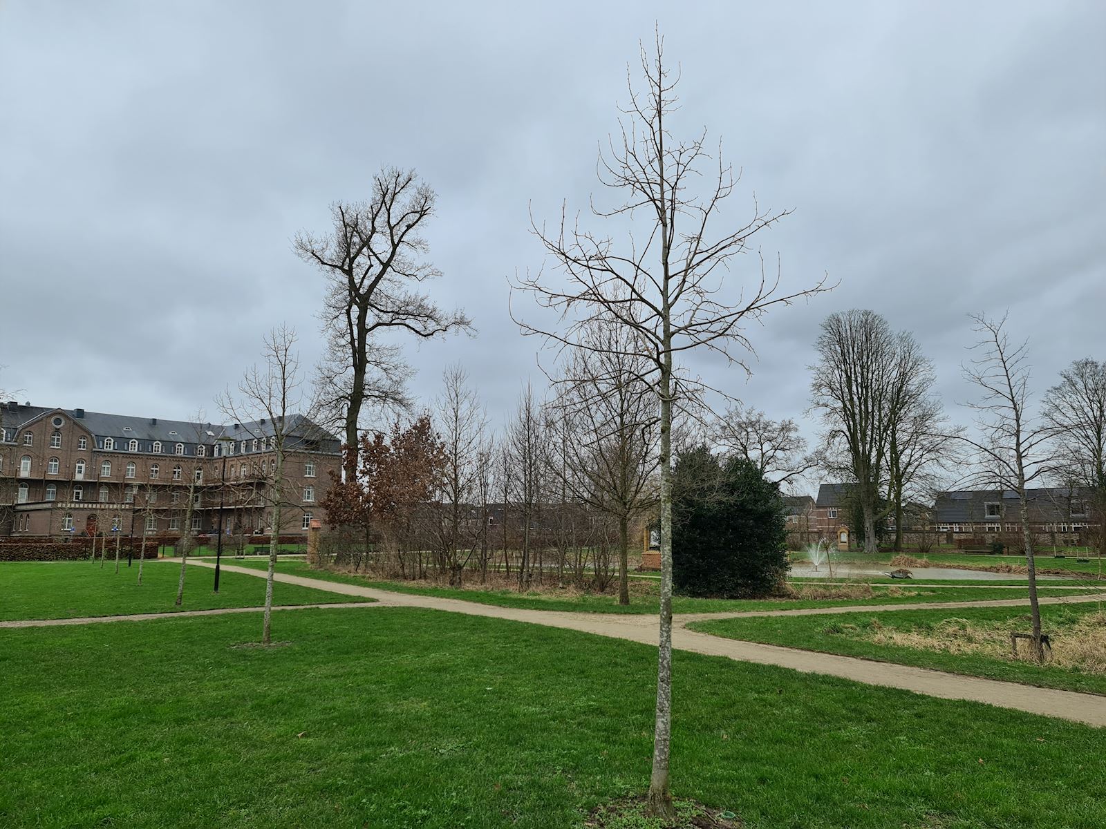 Terra Fit methode groeiplaatsverbetering ploffen stadspark