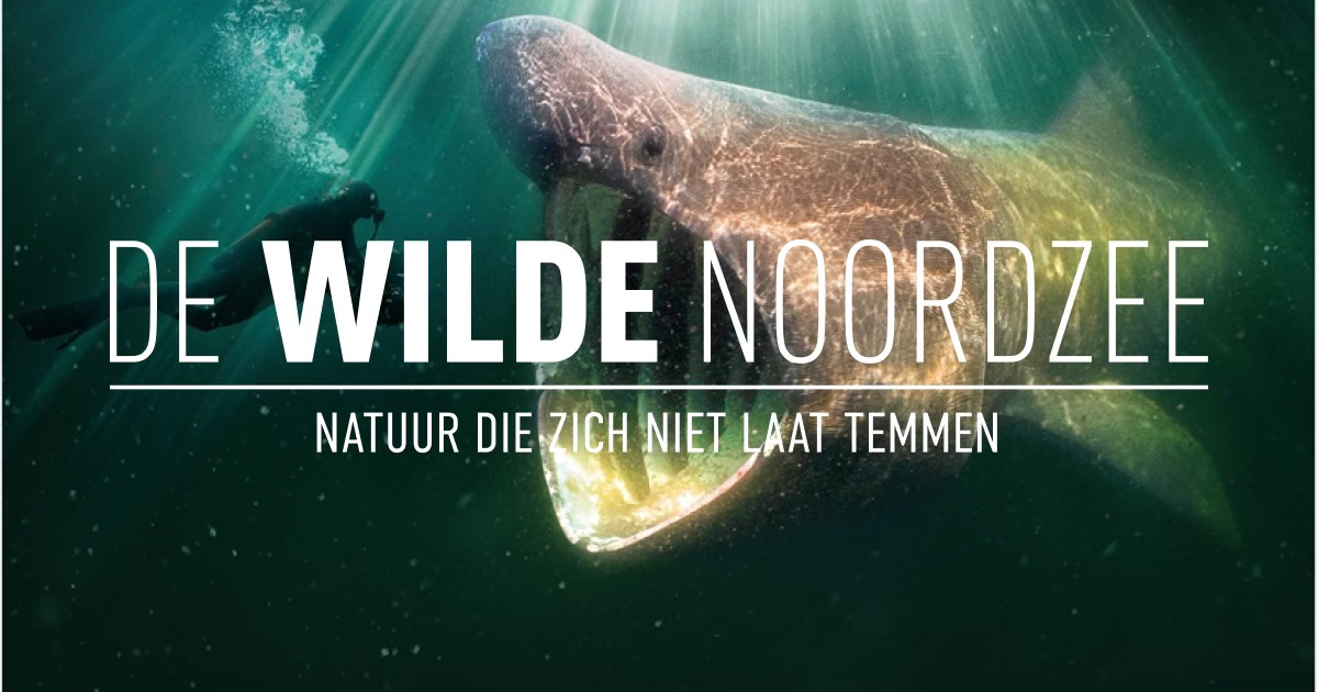 noordzee 1
