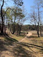 foto natuur jongeren behandeling