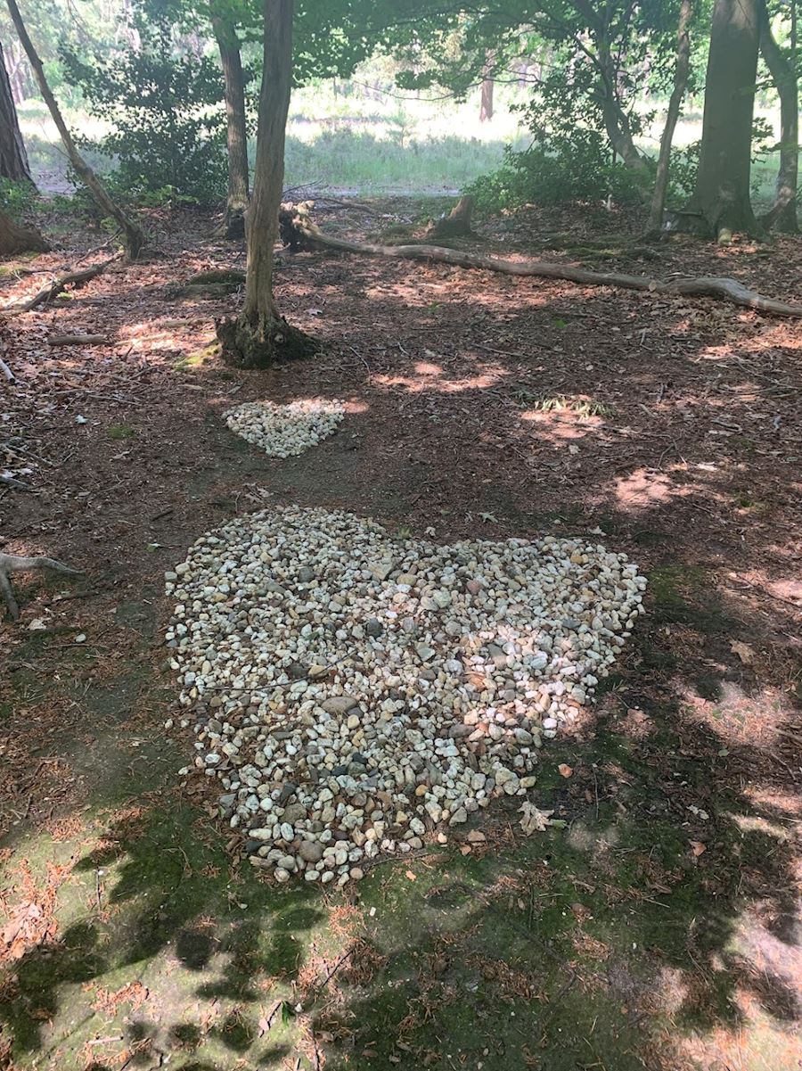 foto natuur hartjes van grint