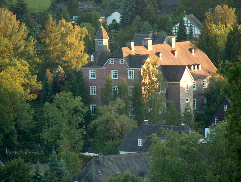 schloss schellenstein aus der Luft