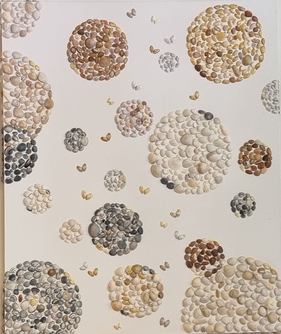 Dandelions schelpen shells sea strand zee schelpenkunst nicole van der linden kunst uit de kast