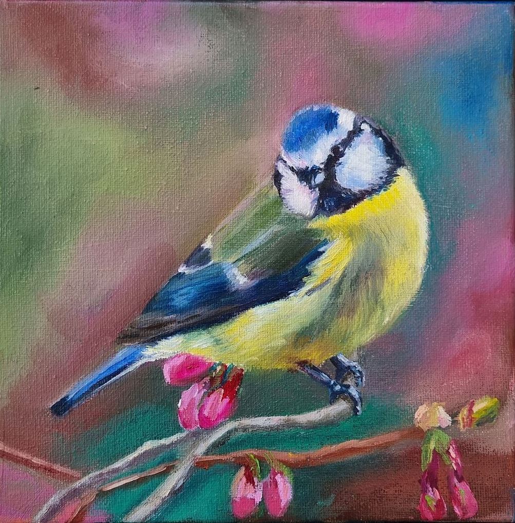 b Pimpelmees vogels vogel nicole van der linden kunst uit de kast dieren schilderij