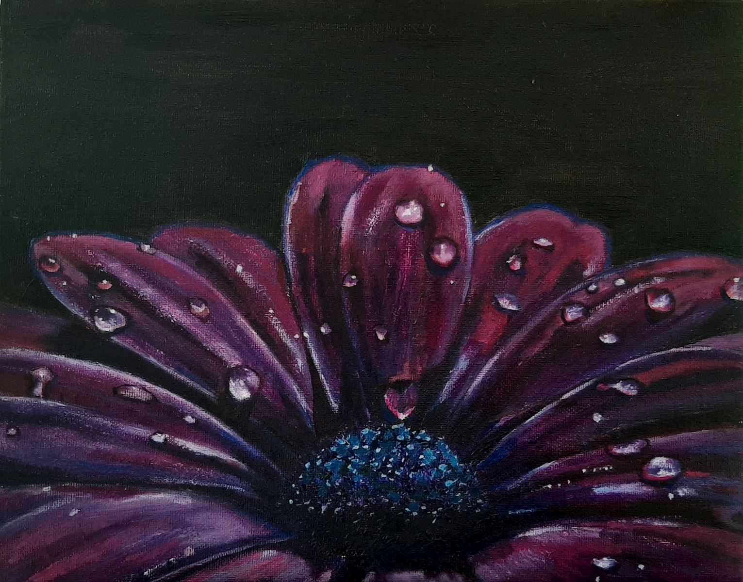 w kunst uit de kast Waterdruppels op bloem nicole van der linden noordwijk bollenstreek flowers bloemen margriet paars