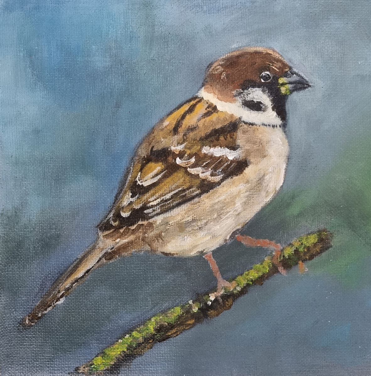 musje sandra guldemond vogels natuur schilderij kunst uit de kast