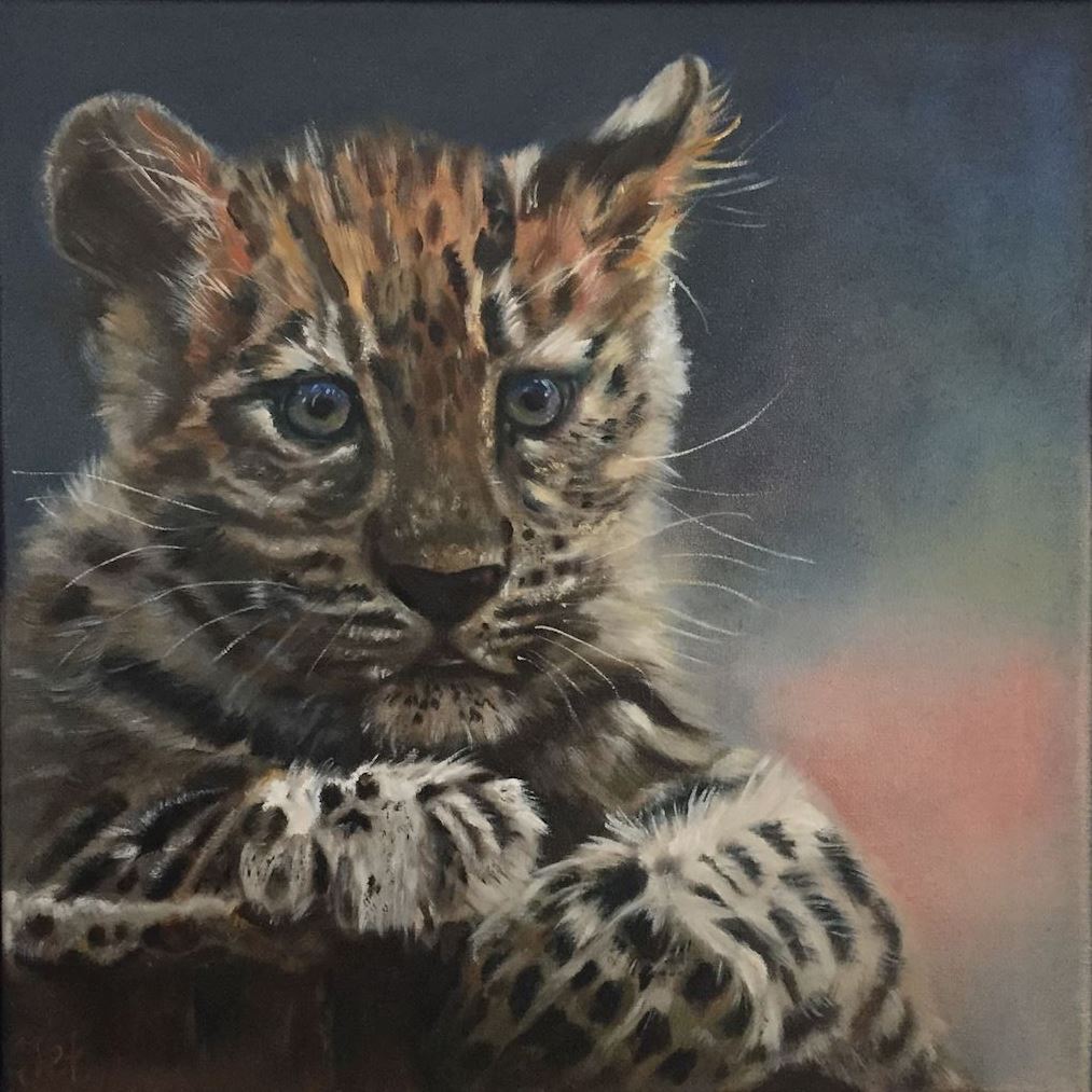 cheetah welpje afrika reservaat jet van der star kunst uit de kast