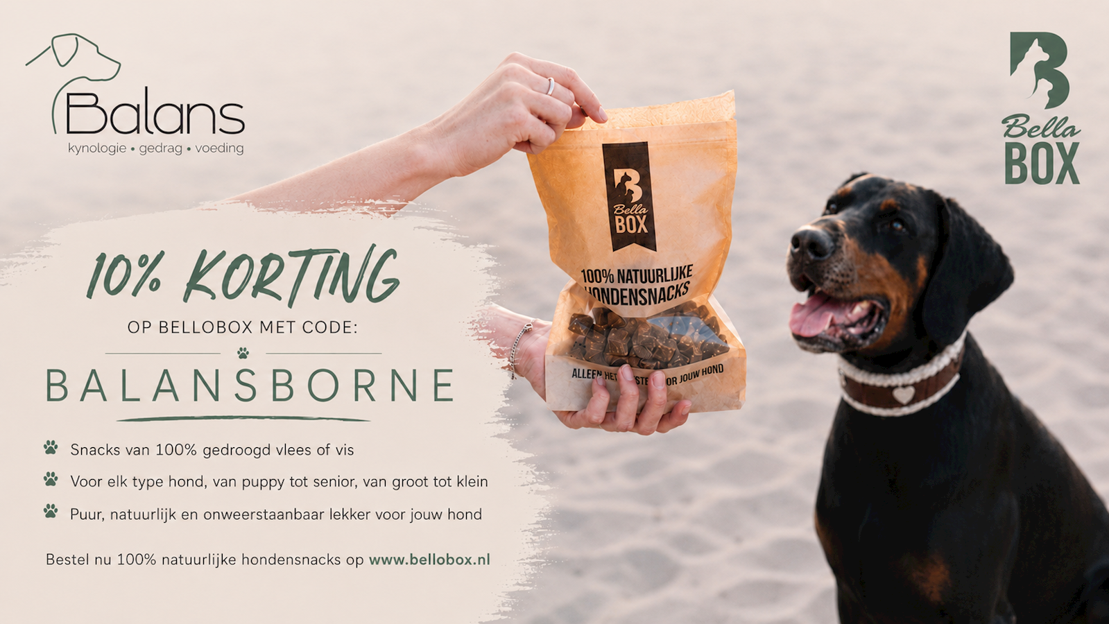 BALANSBORNE website