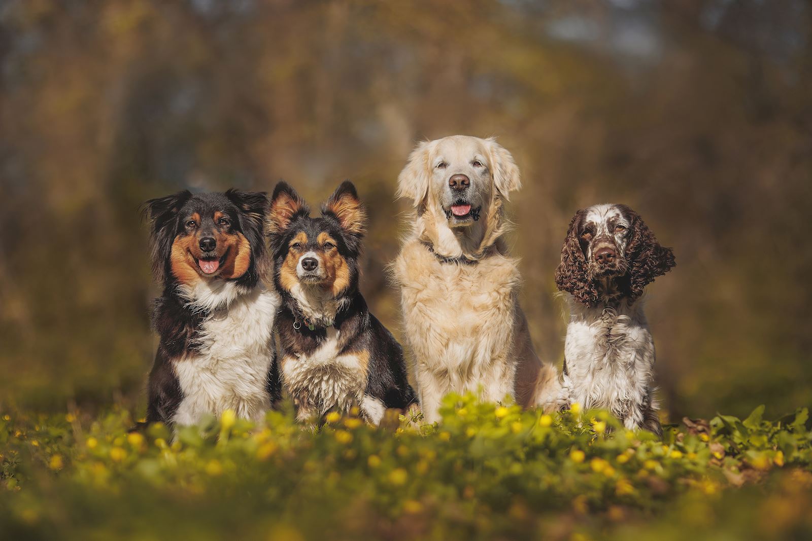 shutterstock 2299544637