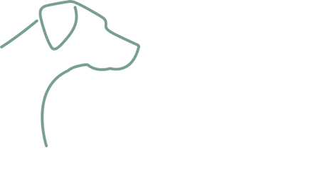 Balans