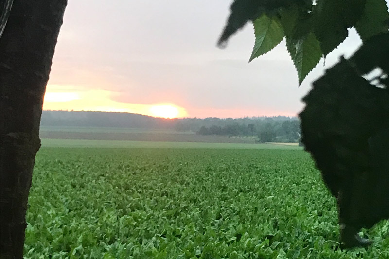 foto zonsondergang normaal