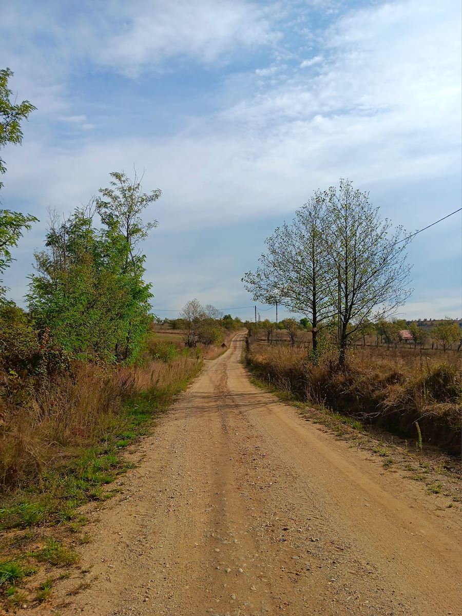 pakket wandeladvies