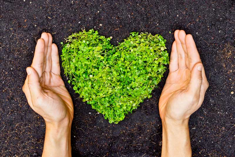 garden hands hearts