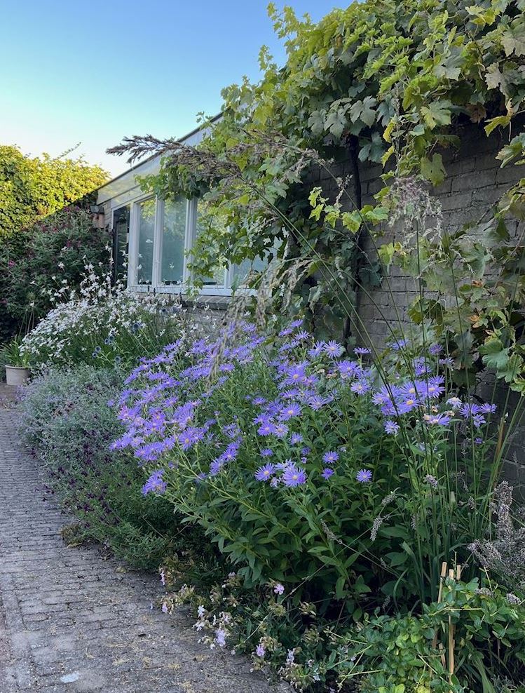 tuin augustus 2026