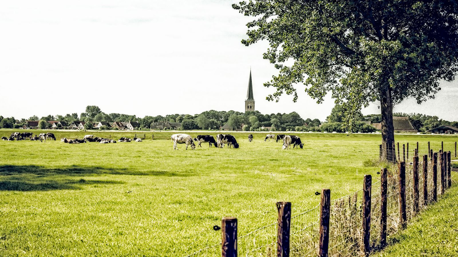 foto grondaankoop