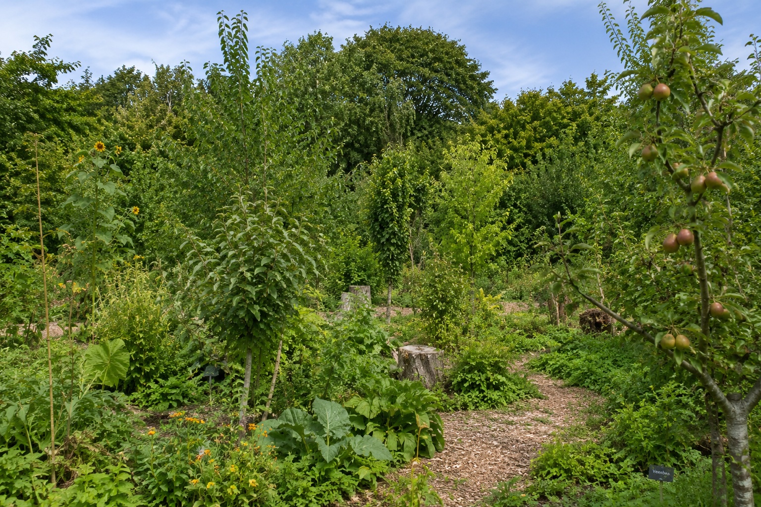 voedselbos 1 
