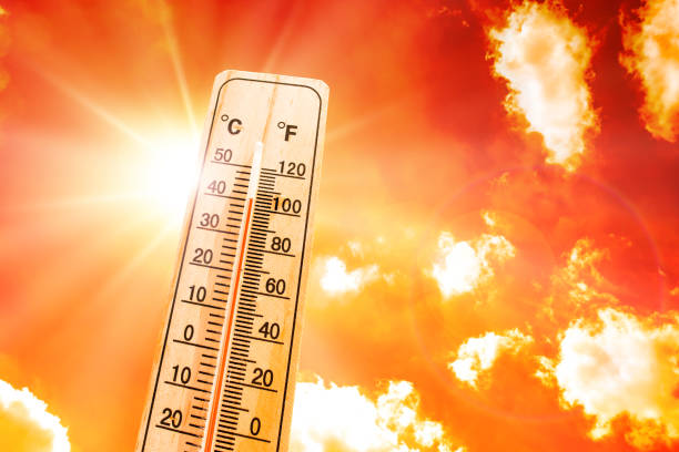 istockphoto 1226747204 612x612